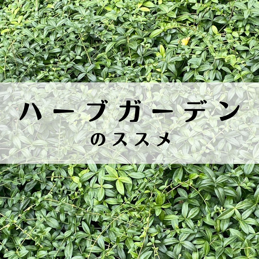 お家にハーブガーデンはいかが？