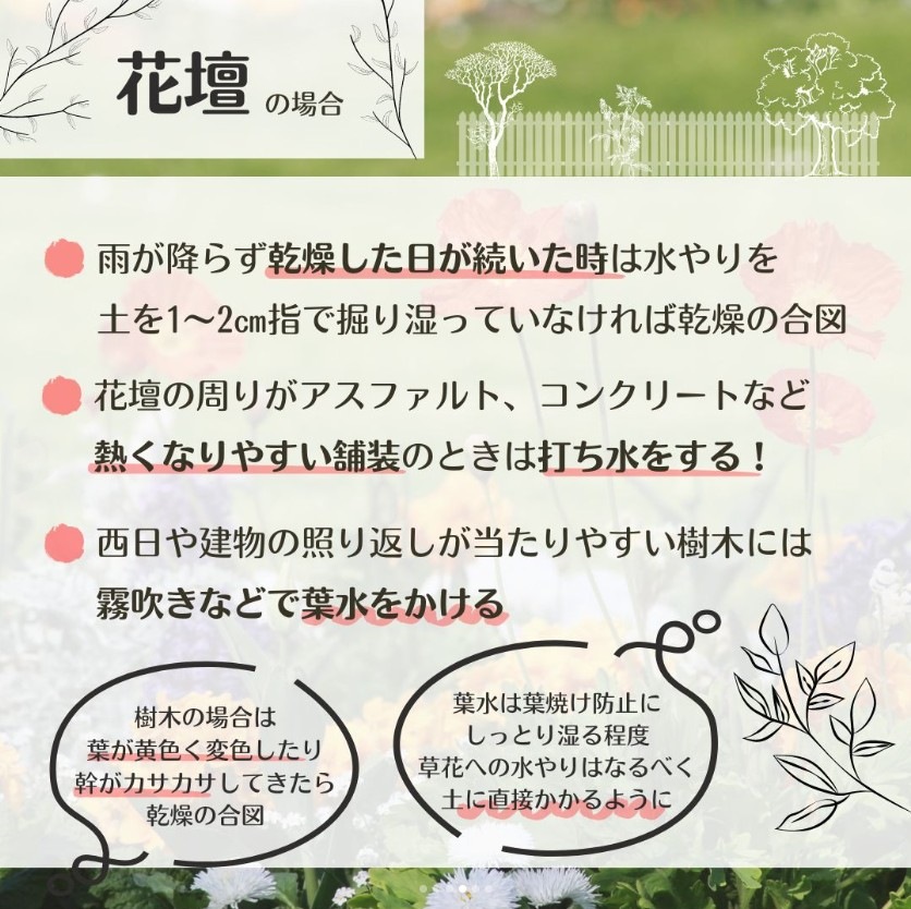 熱中症　庭　植物　花　葉枯れ